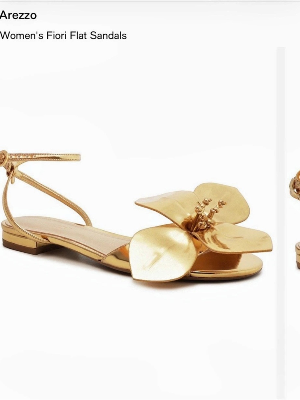 Arezzo Fiori Floral Flat Sandals Gold US 7.  Never used